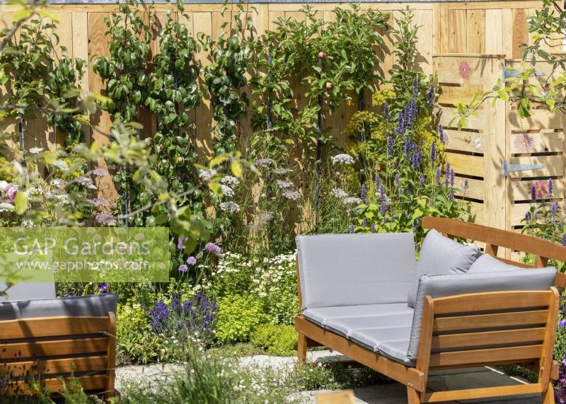 Wooden-frame sofa with cushions in front of a wall-trained fruit tree underplanted with herbs, summer June