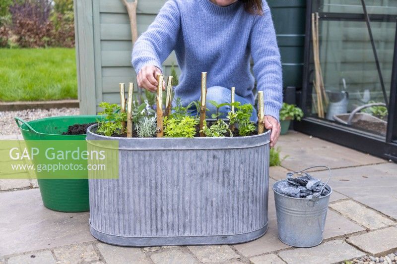 Woman placing birch stick plant labels in the large herb container