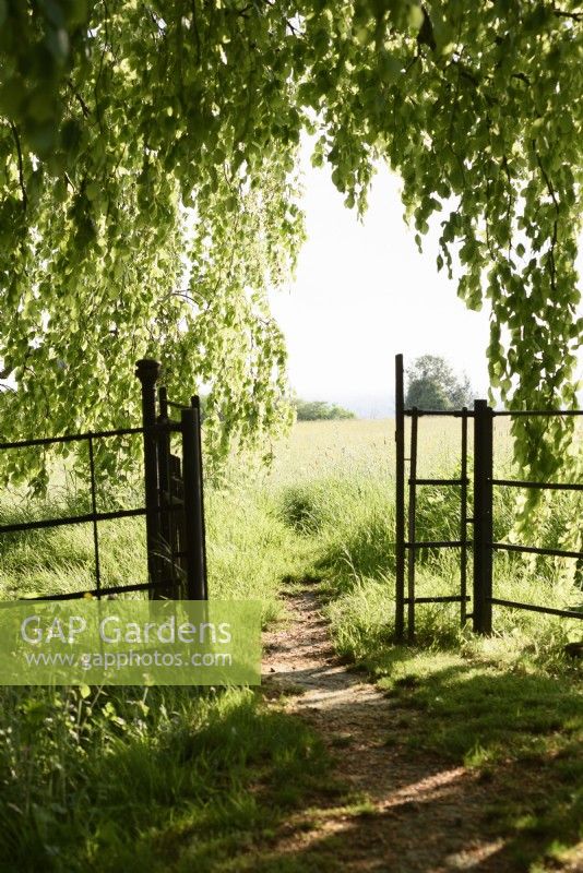Gate in a country garden in May opening to an adjoining meadow