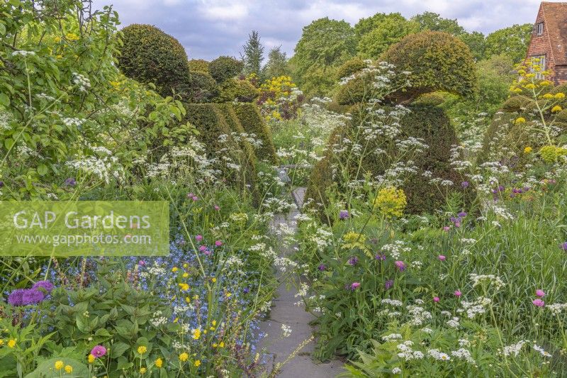 View of a mixed planting of perennials in informal country cottage garden double border in Summer with stone path and yew topiary hedges - May