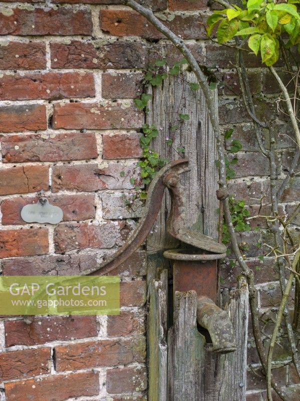 Vintage cast iron water pump in Victorian walled garden