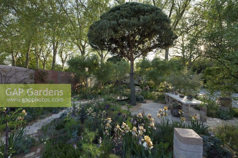 Sunlight shining through The Nurture Landscapes Garden at RHS Chelsea Flower Show 2023. 

Plants include; a Pinus sylvestris - Scots pine pruned to resemble a stone pine and Benton iris varieties.  Table, containers and brick columns made from recycled materials.

Design: Sarah Price
