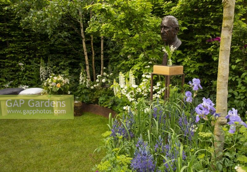 A bronze bust of King Charles III surrounded by borders of Iris 'Jane Philips', Camassia caerulea, Lupinus 'Polar Princess', Digitalis purpurea 'Alba' and Viburnum kilimanjaro in A Garden of Royal Reflection designed by Dave Green.