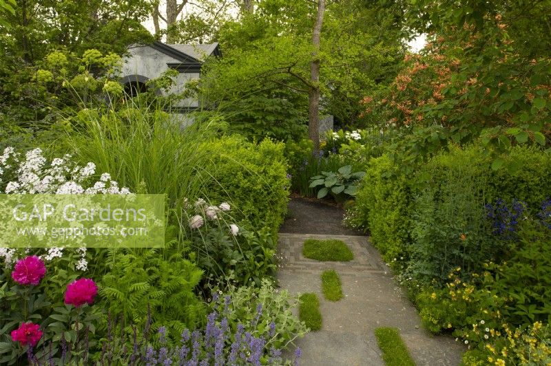 A stone path planted with patches of grass running through herbaceous borders and box hedge in the Myeloma UK - A Life Worth Living Garden designed by Chris Beardshaw at the RHS Chelsea Flower Show 2023