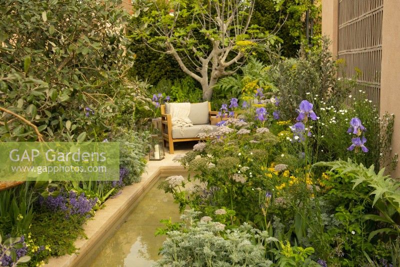 Iris pallida var. pallida, Foeniculum vulgare, Artemisia 'Powis Castle',  and Pimpinella major 'Rosea' around a secluded seating area of the Hamptons Mediterranean Garden, a sanctuary garden designed by Filippos Dester at the RHS Chelsea Flower Show 2023