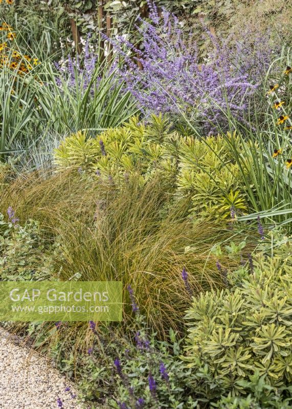 Perennial bed with ornamental grasses, summer August