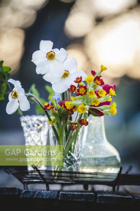 Vases with Narcissus poeticus var. recurvus
Pheasants Eye, species daffodil, forget-me-not and Primula veris
cowslip