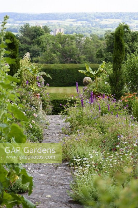 Path between borders at Milton Lodge Gardens, Somerset in June, with view of Wells Cathedral beyond.