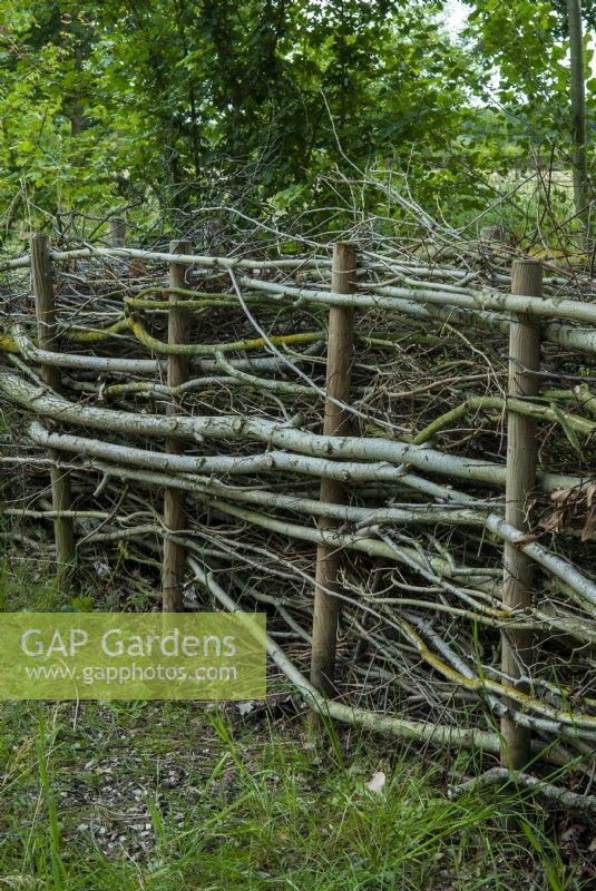 Boughs, sticks and twigs laid between poles to make a natural barrier and a refuge for wildlife and insects - Open Gardens Day, Easton, Suffolk