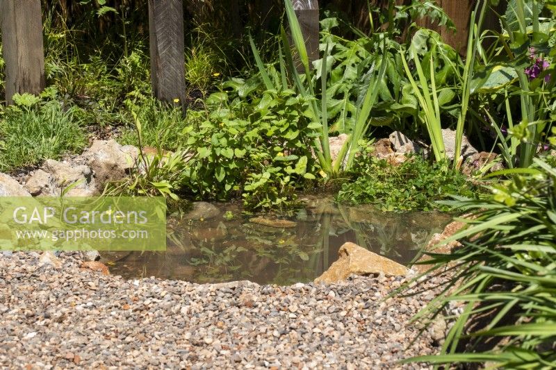 Small wildlife pond set into gravel with rocks around - Urban Oasis - BBC Gardeners' World Live 2023, Birmingham NEC - designer Vicky Lincoln