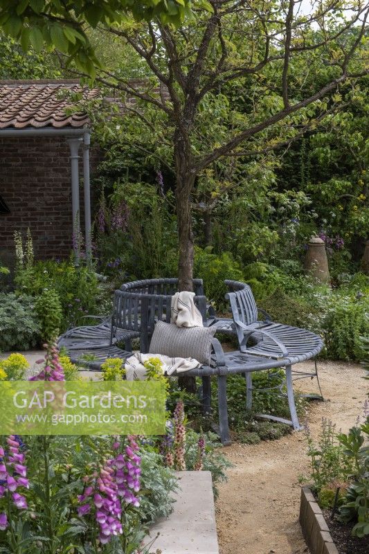 A metal tree seat is at the heart of a seasonal potager filled with ornamental and edible plants, combined in formal or informal schemes, in borders or raised beds. 