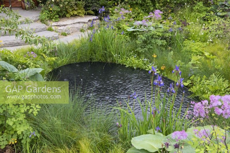 A black pool is edged in grasses, Iris setosa var. arctica, thalictrum, candelabra primulas, hostas and ferns.