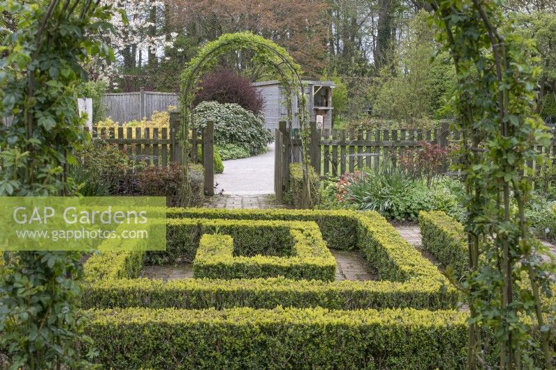 Buxus edging at Barnsdale Gardens, April