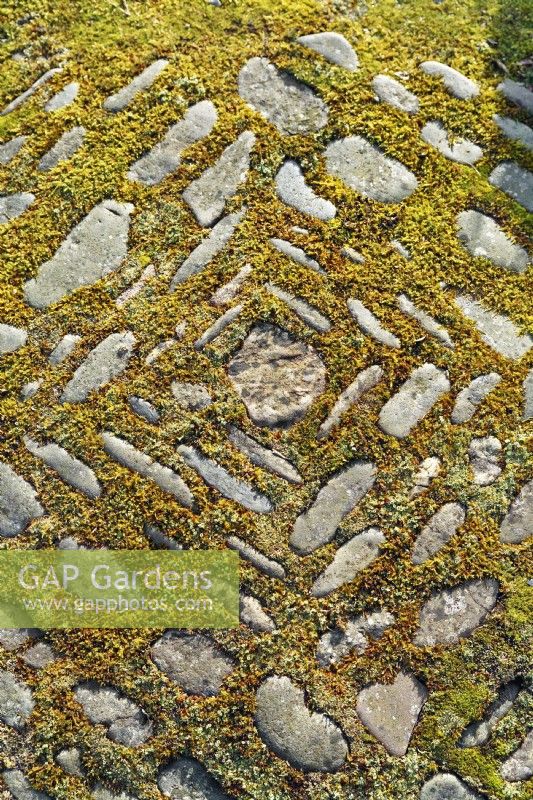 Cobble stone paving arranged in a geometric pattern covered with moss and lichen