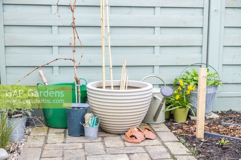Vitis 'Lakemont' Grapevine, large container, bamboo canes, compost, watering can, crockery, string and scissors laid out on the ground