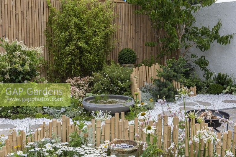 An oriental themed courtyard with undulating bamboo fences separating planting in a silver, white and green colour scheme. A dogwood tree and bamboo add height. A Lotus Bowl water feature rests beside a stone chipping path that winds through.