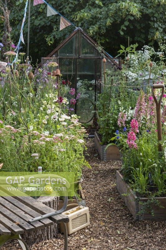 A recycled greenhouse overlooks a cutting patch with raised beds planted with flowers such as snapdragons, foxgloves, cosmos, Baltic parsley, achillea and nicotiana.