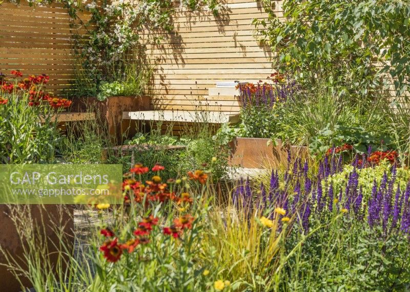 Terrace garden with view over beds to corner seating and containers against a fence, summer July 