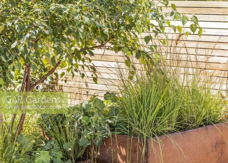 Terrace garden with plant containers, summer July