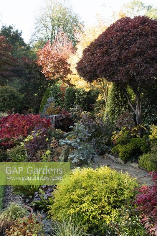 Borders in the Four Seasons Garden - West Midlands - October