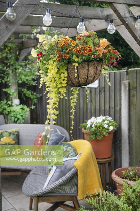 Hanging baskets in small suburban garden in Lichfield, Staffordshire, in red orange and yellow theme, July