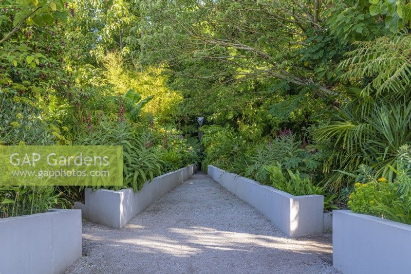View of a formal contemporary designer exotics garden in Summer - July
