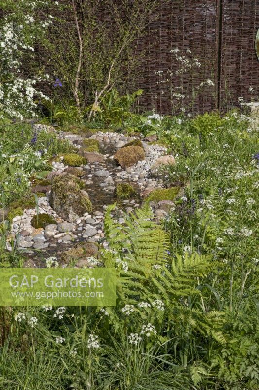 Mixed native wildflower planting Greener Gloucestershire NHS Garden at RHS Malvern Spring Festival 2023