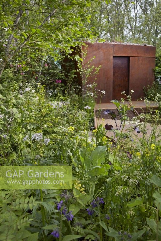 Centre for Mental Health's The Balance Garden. Designers: Jon Davies and Steve Williams. Chelsea Flower Show 2023. Reclaimed steel 'mushroom den'. Climate resilient garden with edible plants and weeds for wildlife diversity.