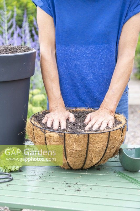 Woman patting down compost in hanging basket
