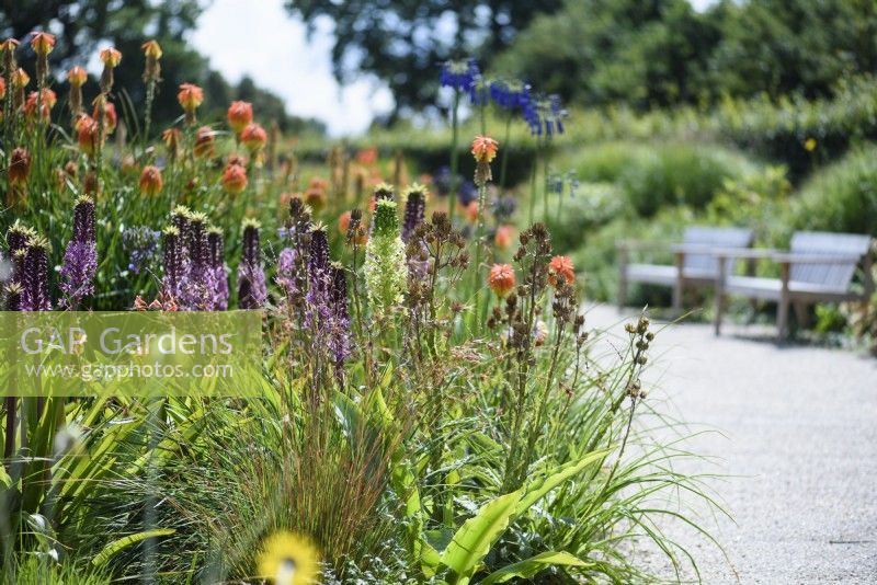 The South African Meadow at RHS Wisley in August