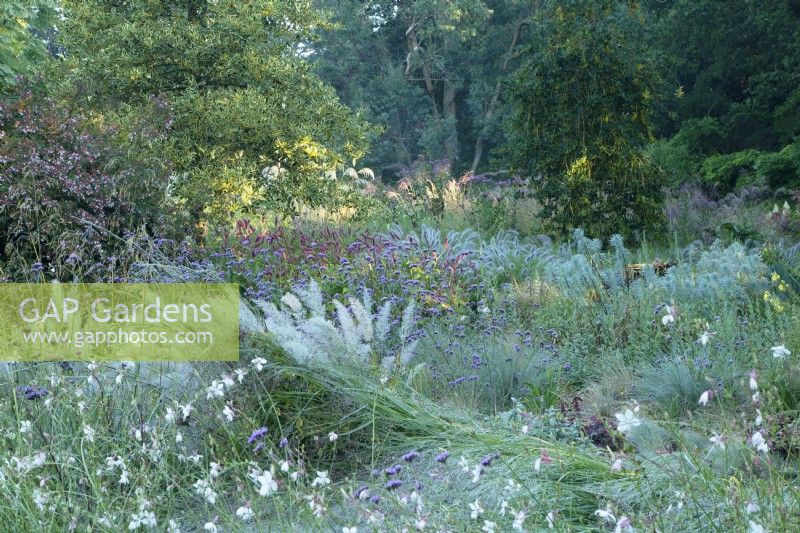 MIxed perennial planting at Knoll Gardens in Dorset