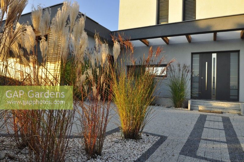 Autumnal miscanthus in gravel bed in front of modern house.