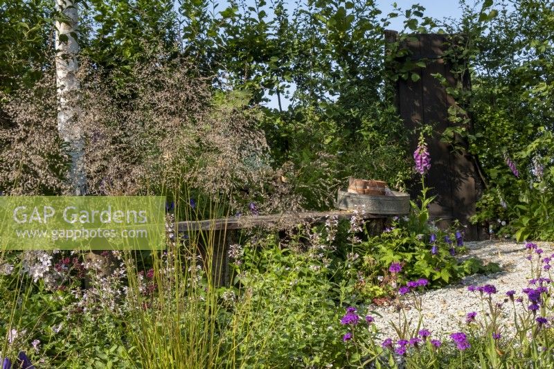 A froth of Deschampsia cespitosa 'Bronzeschleier' surrounded Origanum sp.,  Verbena rigida and Campanula 'Kent Belle in the  RHS Wildlife Garden, Designed by: Jo Thompson  and  Kate Bradbury.