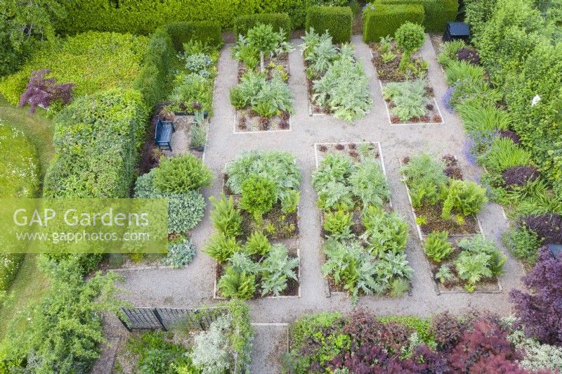 View over formal garden  with gravel paths and rectangular beds containing Cynara cardunculus and Heuchera backed by hedges of Yew. June. Summer. Image taken with drone. 