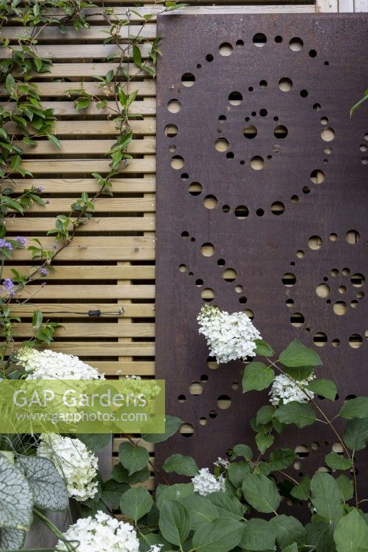 Metal screen with spiral design attached to a contemporary wood boundary fence, in the foreground a white-flowered hydrangea