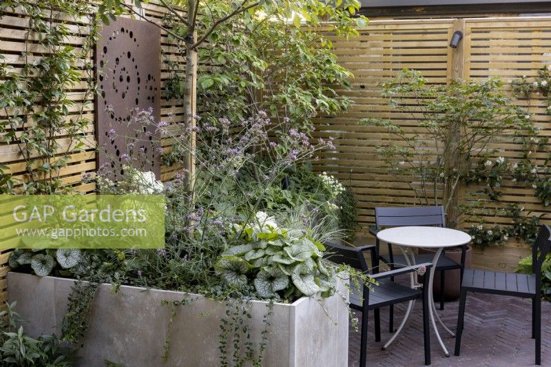Courtyard garden with seating area screened by a raised bed and contemporary wood boundary fence. Raised bed contains a young tree underplanted with perennials such as Brunnera and Verbena bonariensis.