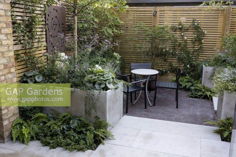 Courtyard garden with seating area screened by raised bed and contemporary wood boundary fence. Raised bed contains a young tree underplanted with perennials such as Brunnera. In the foreground, a small bed of ferns softens the paved patio.