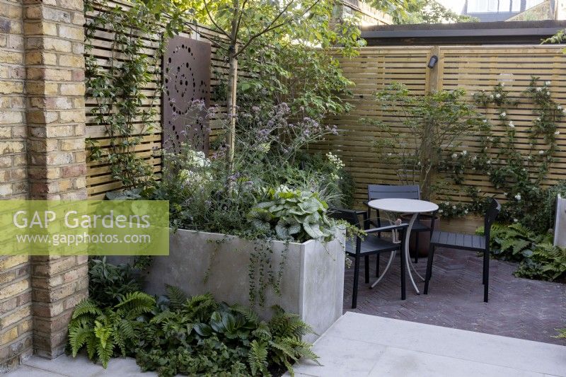 Courtyard garden with seating area screened by raised bed and contemporary wood boundary fence. Raised bed contains a young tree underplanted with perennials such as Brunnera. In the foreground, a small bed of ferns softens the paved patio.