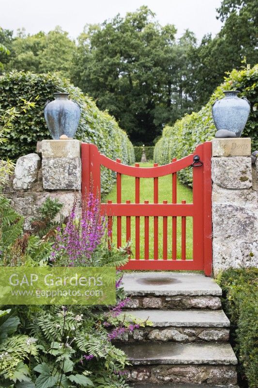 Red painted wooden gate from South Garden to House Field in stone wall with stone steps. August.