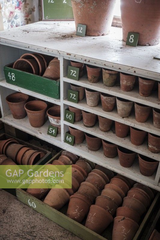 Inside of garden shed with collection of vintage terracotta plant pots organised by size