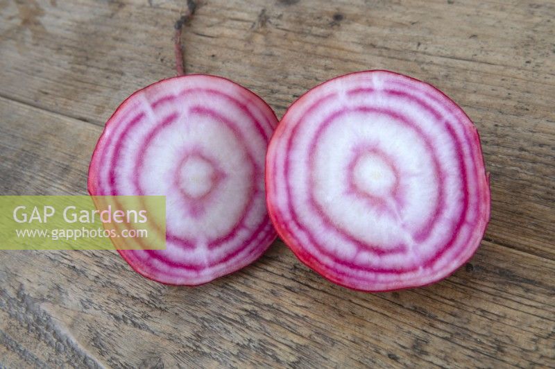 Beta vulgaris 'Chioggia' beetroot freshly harvested from the allotment on a wooden work top. Sliced to show the red and white concentric rings. 