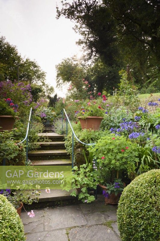 Steps leading between lushly planted borders framed by swirling metal handrails, in an August garden