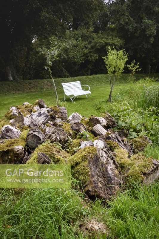 Mossy mound of logs in a rural garden in September