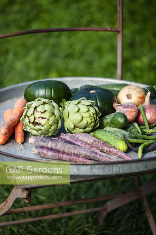 Freshly harvested carrots in different colors, cucumbers, pumpkins, artichokes, and onions.