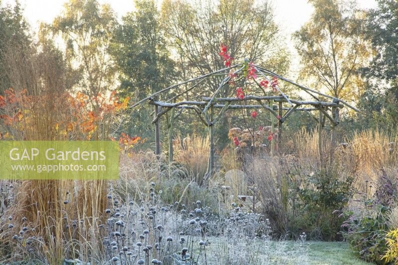 Rustic coppiced ash gazebo surrounded by ornamental grasses and perennials covered in frost