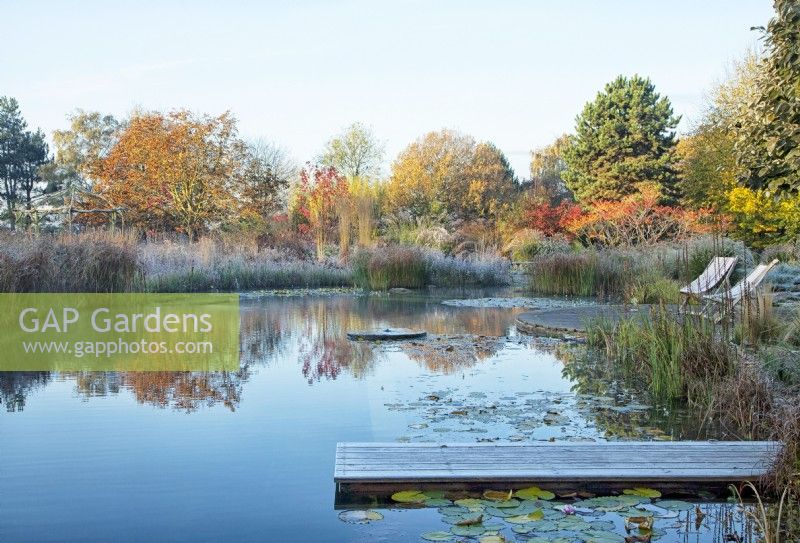 Natural swimming pool and frosted wooden jetty surrounded by trees and ornamental grasses.