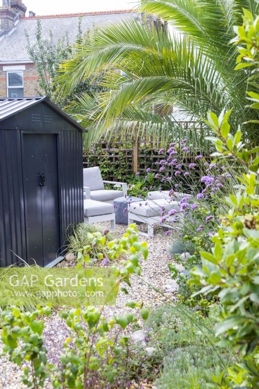 Seating area behind a black shed past border planting with large Palm tree overhanging