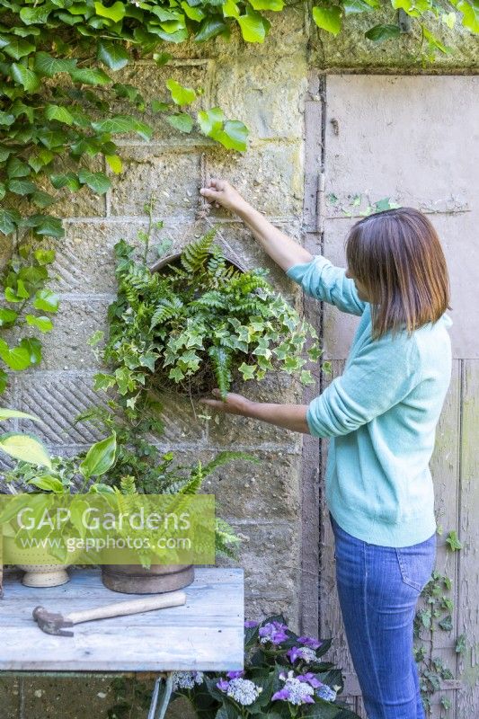 Woman hanging compost sieve Fern and Ivy  planter from brick building