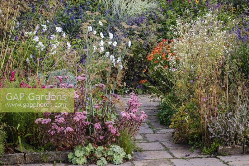 Autumnal cottage style border overflowing with Hylotelephium, Helenium, Cosmos 'Purity' and Fennel