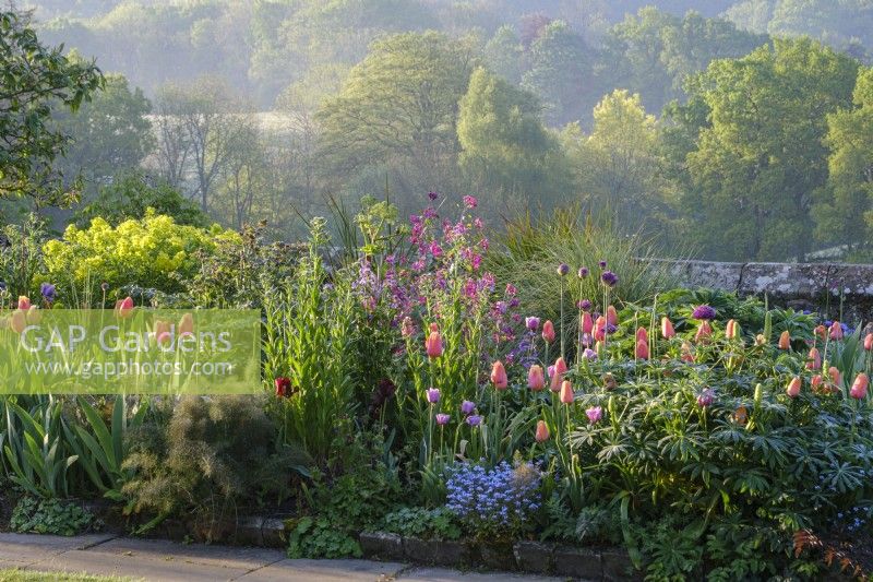 Tulips, Honesty, forget-me-nots and alliums mixed in informal cottage garden border overlooking woodland at Gravetye Manor, early summer